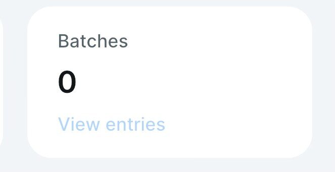 EarnPilot View Entries option on the Today Overview